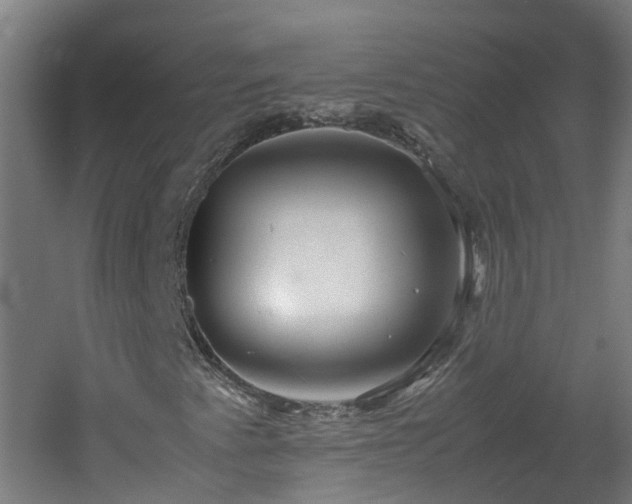 X0000060551345200511031206