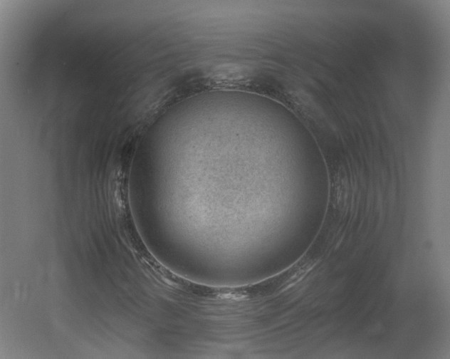 X0000060551346200511031206