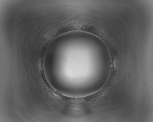 X0000060551347200511031206