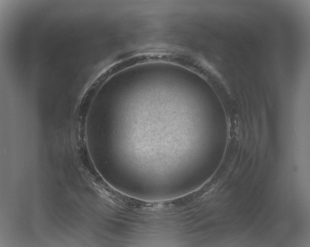 X0000060551352200511031206