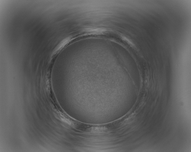 X0000060551354200511031206