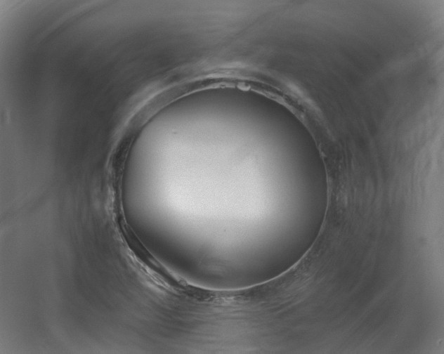 X0000060551360200511031206