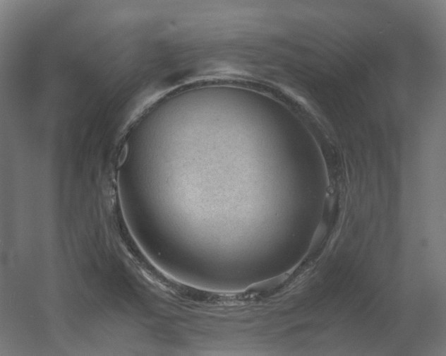 X0000060551363200511031206