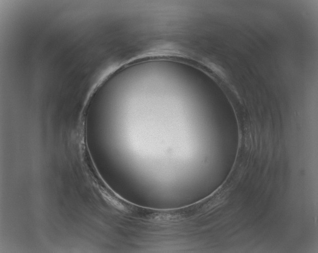 X0000060551366200511031206