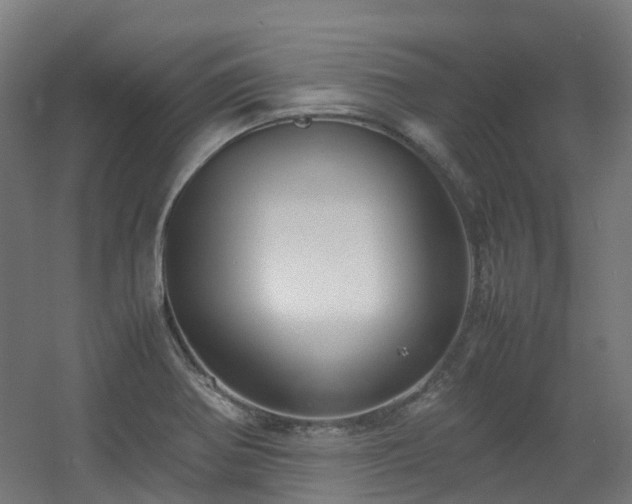 X0000060551370200511031206