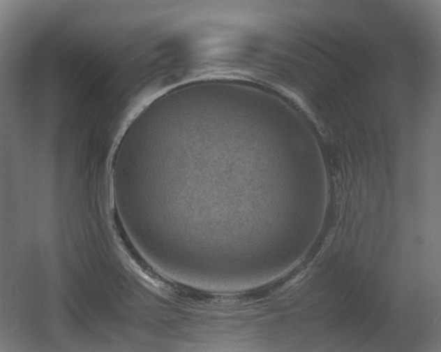 X0000060551371200511031205
