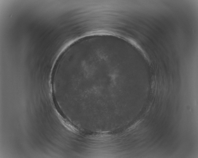 X0000060551372200511031205