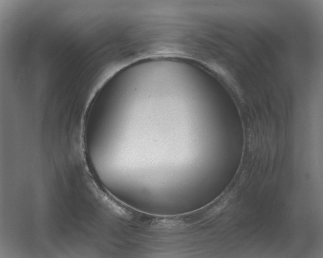 X0000060551374200511031205