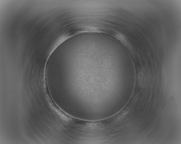 X0000060551378200511031205