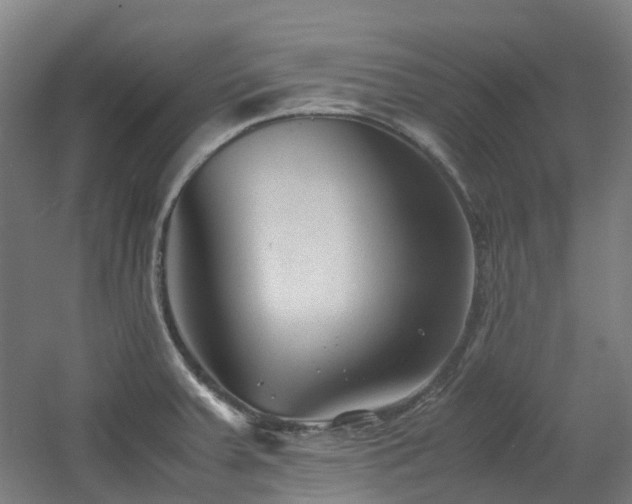 X0000060551379200511031205