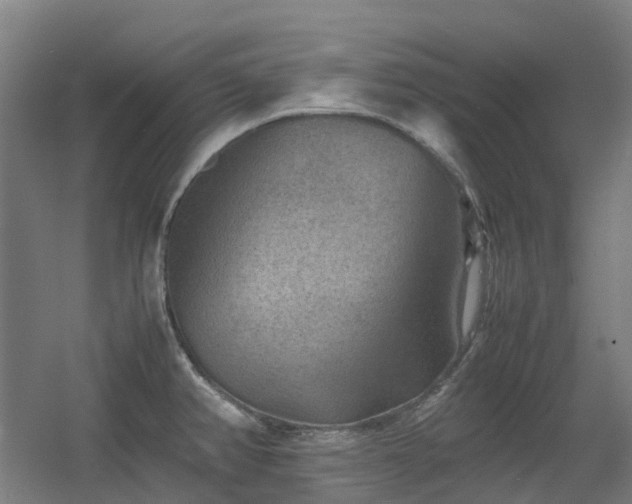 X0000060551382200511031205