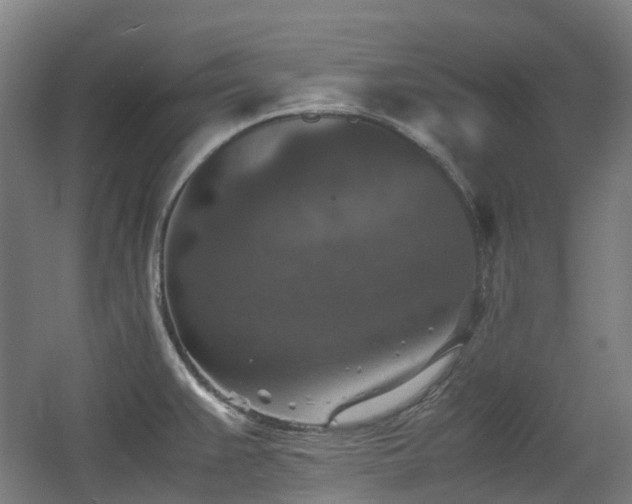 X0000060551383200511031205