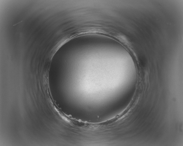 X0000060551385200511031205