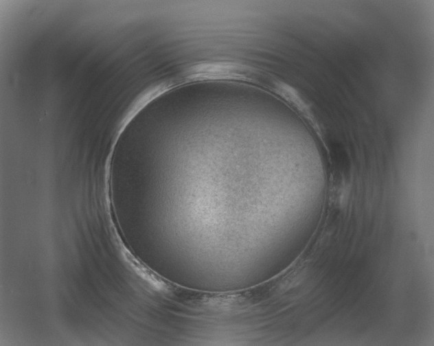 X0000060551386200511031205