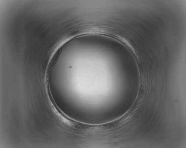 X0000060551387200511031205