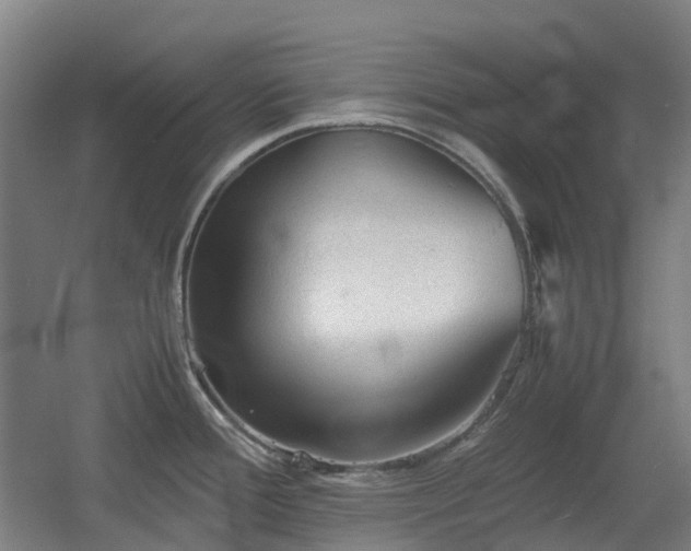 X0000060551388200511031205