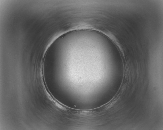 X0000060551390200511031205