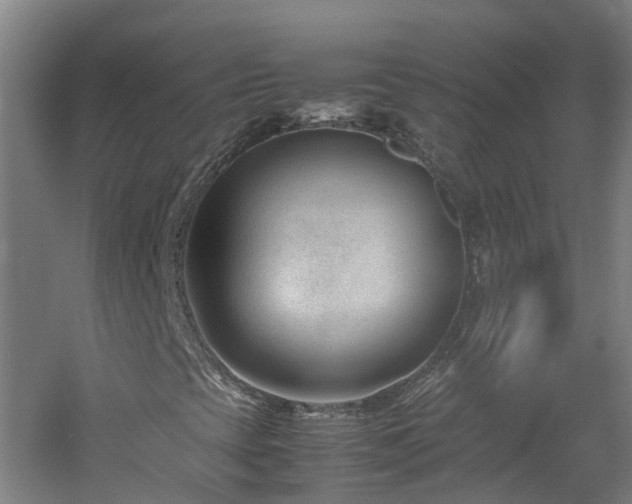 X0000060551393200511031204