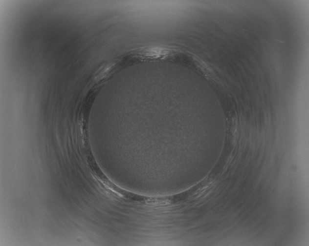 X0000060551394200511031204