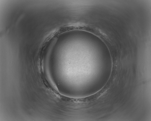 X0000060551398200511031204
