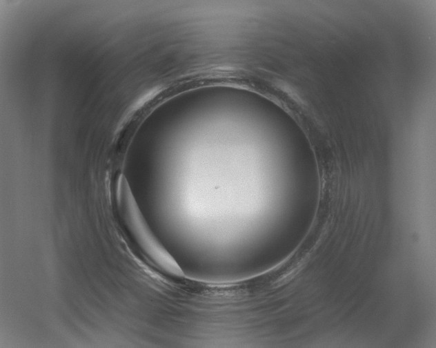 X0000060551402200511031204