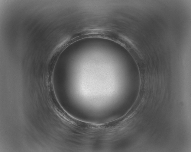 X0000060551403200511031204