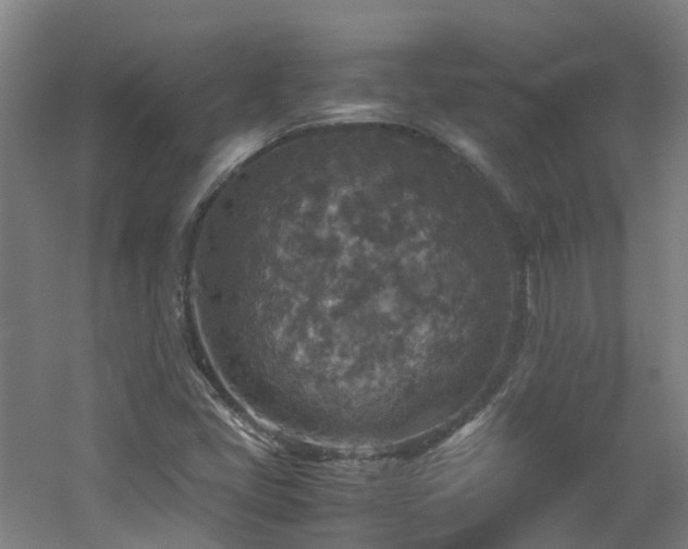 X0000060551405200511031205
