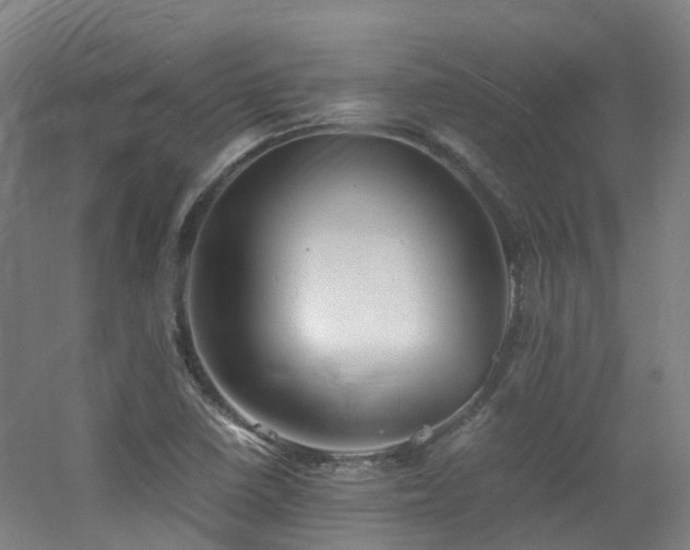 X0000060551410200511031205