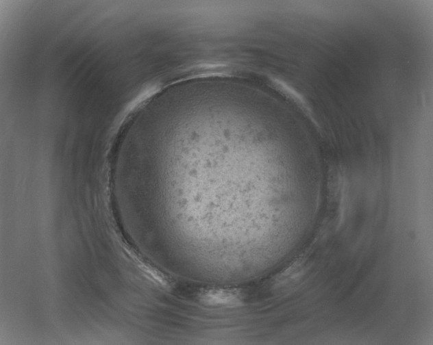 X0000060551411200511031205