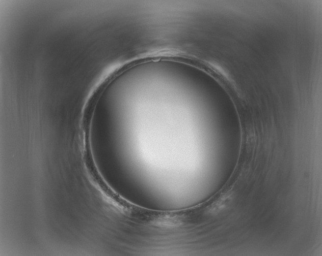 X0000060551414200511031205