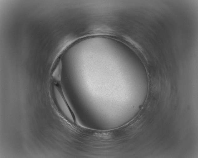 X0000060551415200511031205