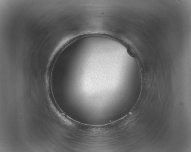 X0000060551416200511031205