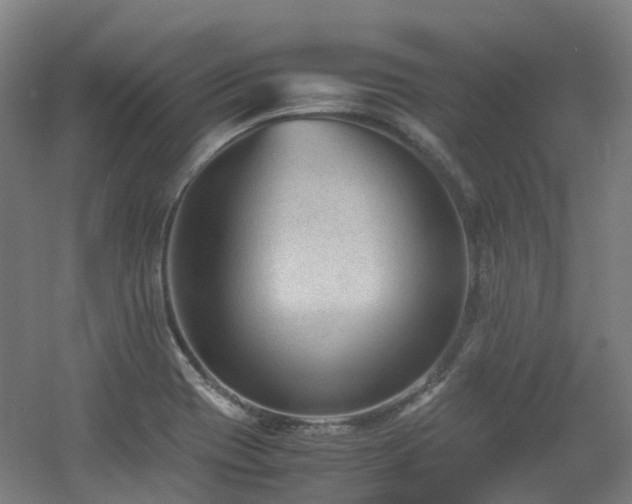 X0000060551417200511031205
