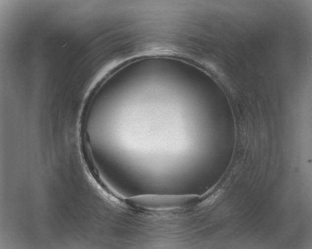X0000060551422200511031205