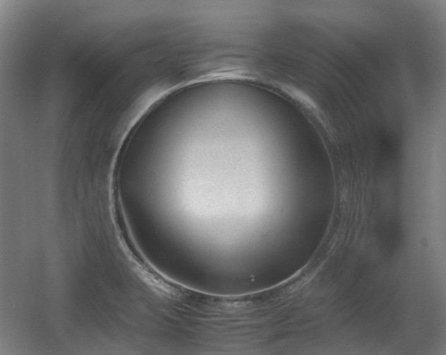 X0000060551423200511031205