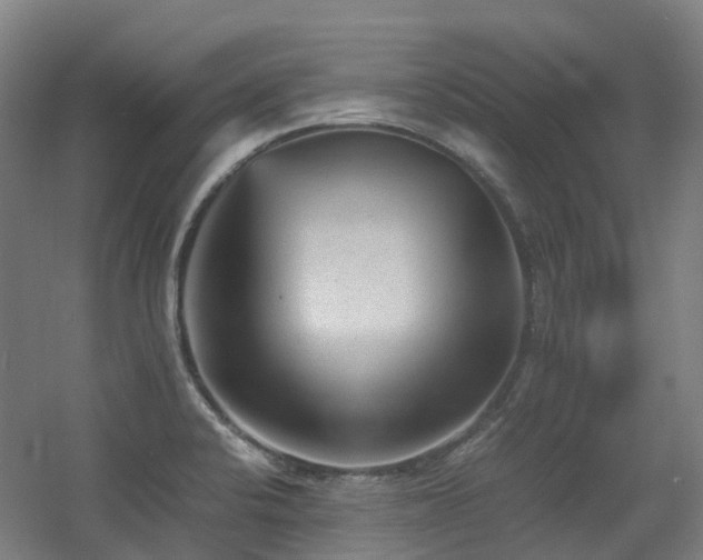X0000060551424200511031205