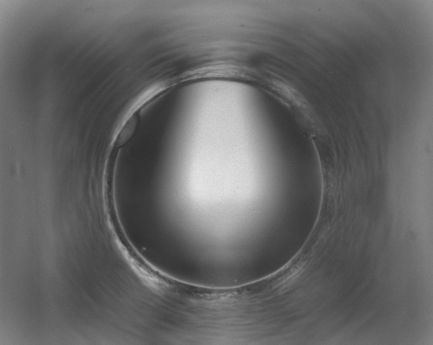X0000060551426200511031205