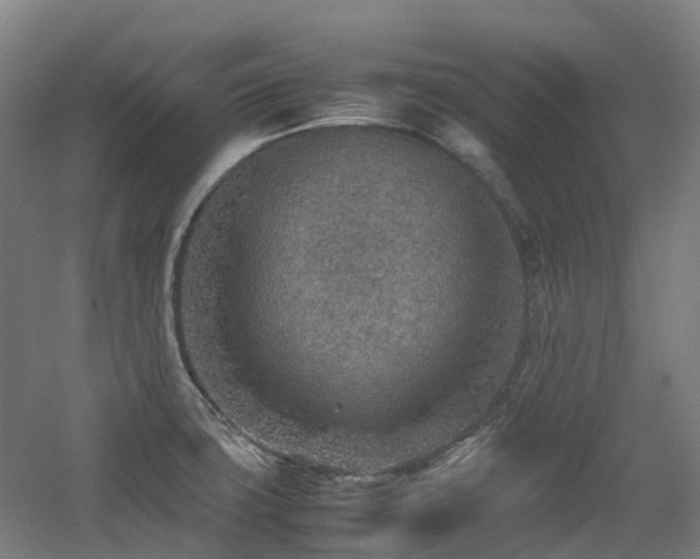 X0000060551427200511031205
