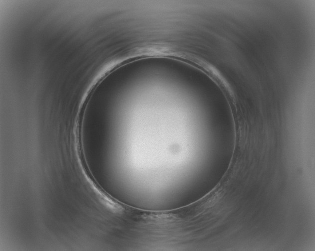 X0000060551432200511031205