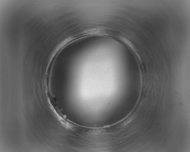 X0000060551434200511031205