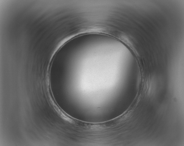 X0000060551436200511031205