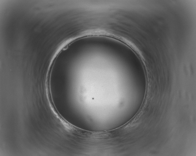 X0000060551440200511031205