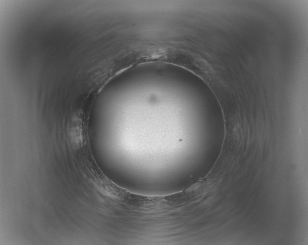 X0000060551442200511031204