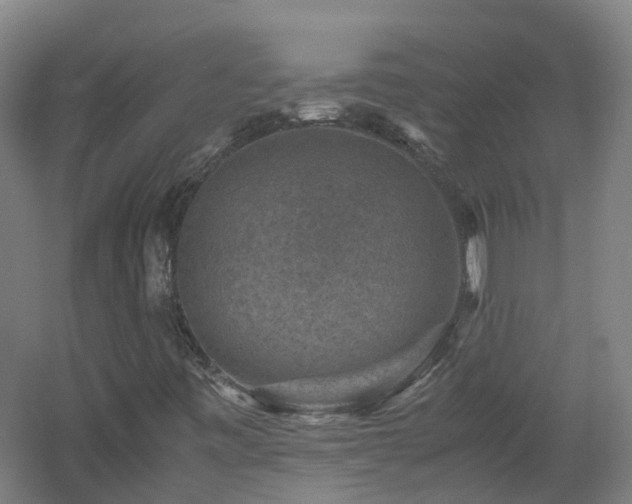 X0000060551443200511031204