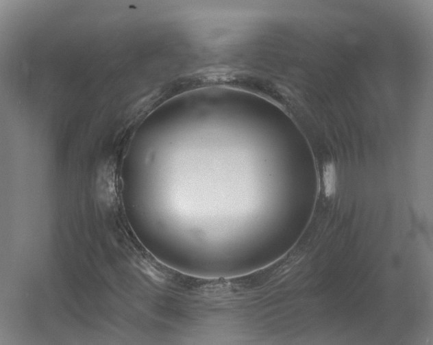 X0000060551444200511031204