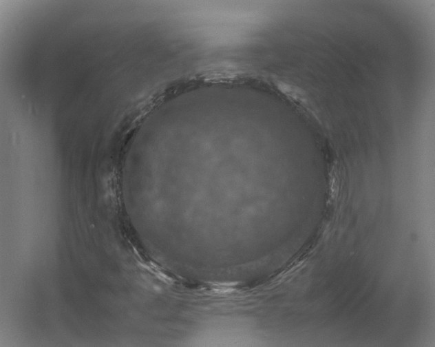 X0000060551445200511031204