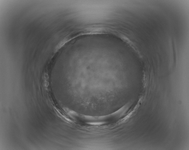 X0000060551449200511031204