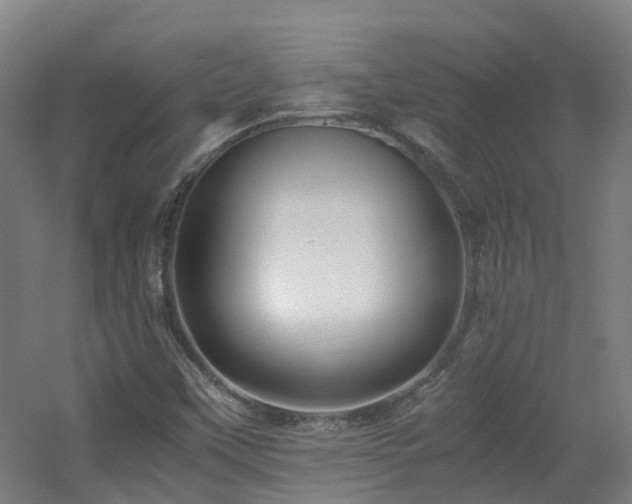 X0000060551451200511031204