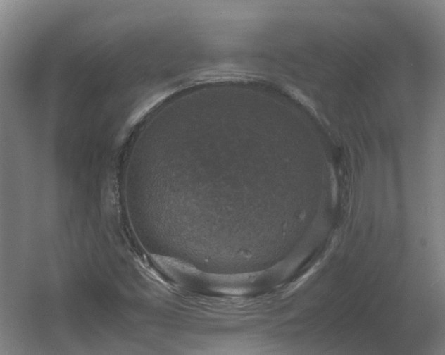 X0000060551453200511031204
