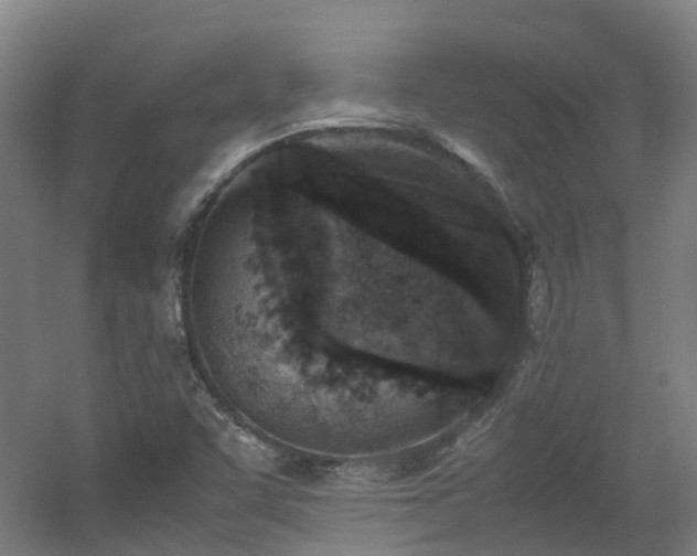 X0000060551455200511031204